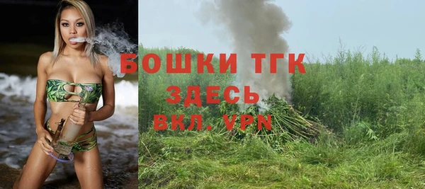 ГАЛЛЮЦИНОГЕННЫЕ ГРИБЫ Алзамай