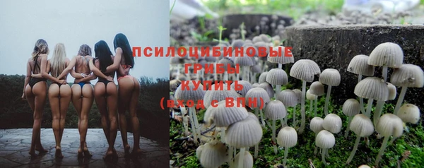 дмт Алексеевка