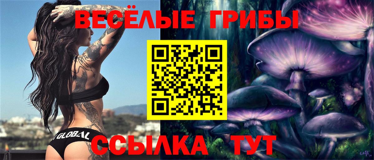 Галлюциногенные грибы прущие грибы  Вход с VPN  Псилоцибиновые грибы Psilocybe  Новоалтайск 