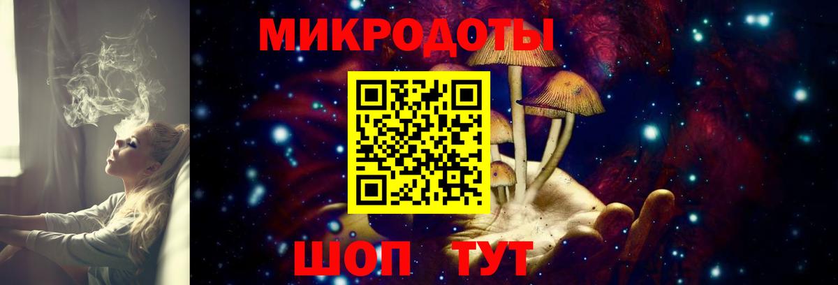 Галлюциногенные грибы мухоморы Новоалтайск